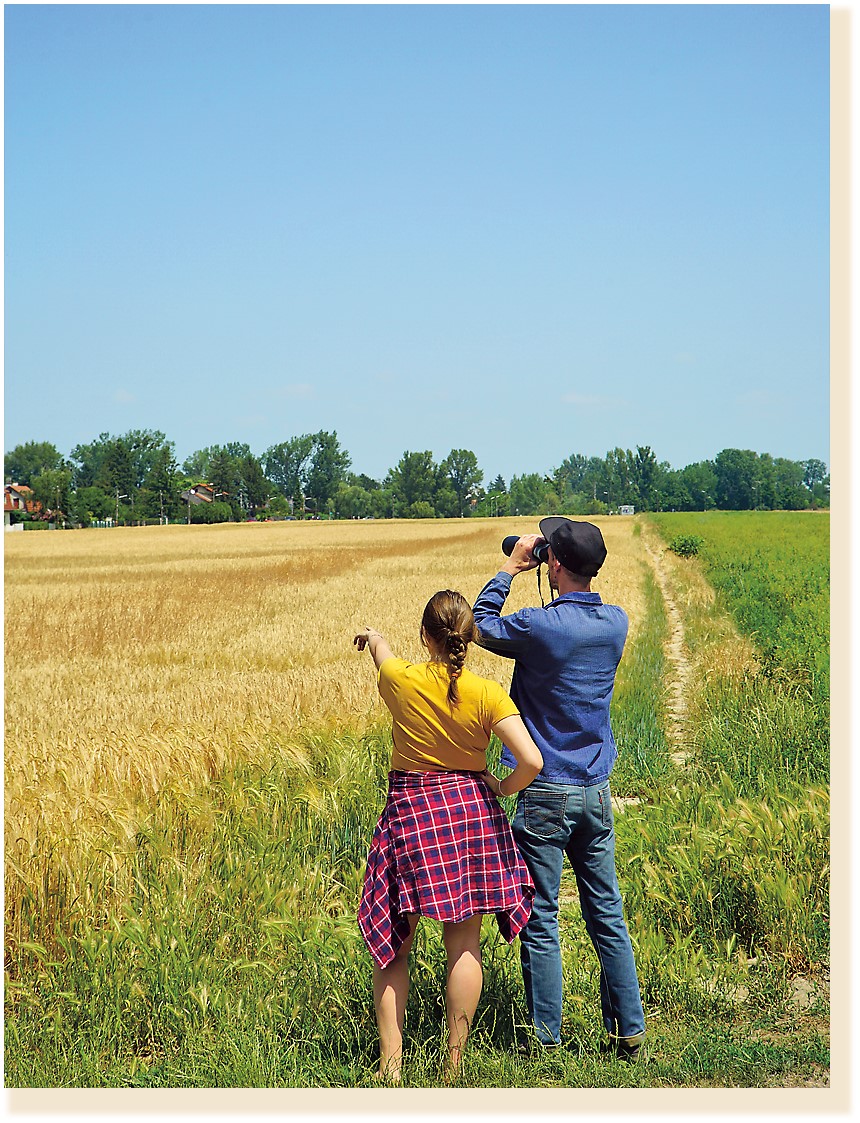Eine junge Frau und eine junger Mann stehen auf einem Getreidefeld