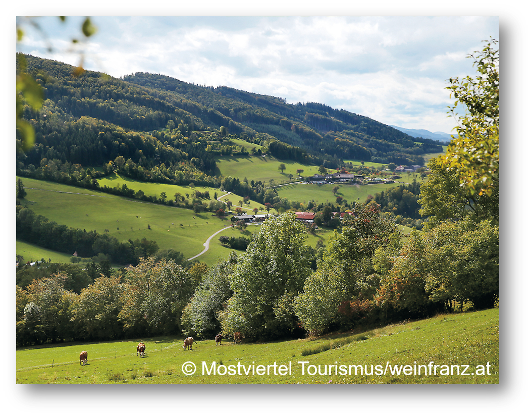 Landschaftsblick ins Mostviertel