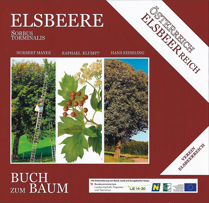 Buchcover: Elsbeere - Buch zum Baum