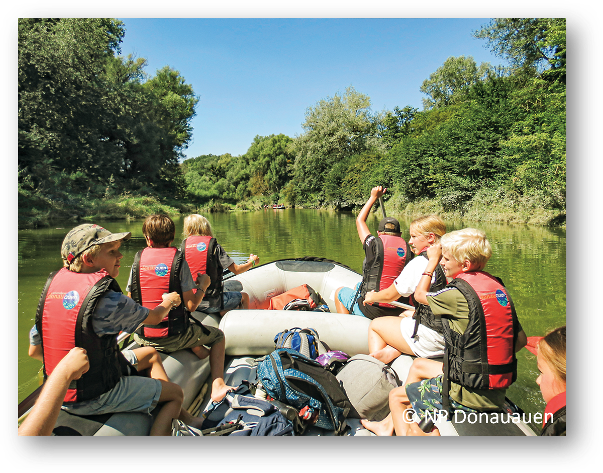 Bootsausflug in der Au