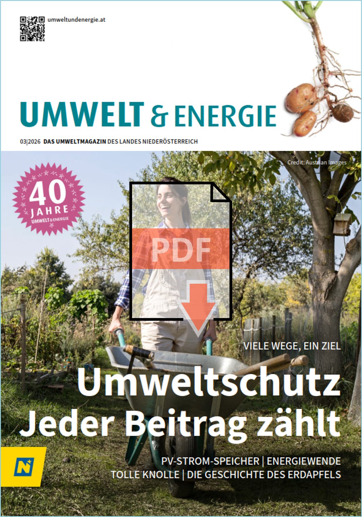 Cover der Broschüre als Link zum Download