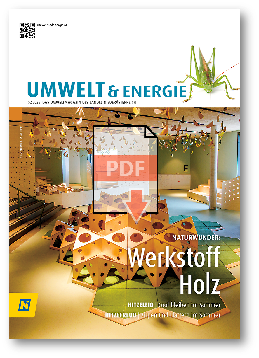 Cover der Broschüre als Link zum Download