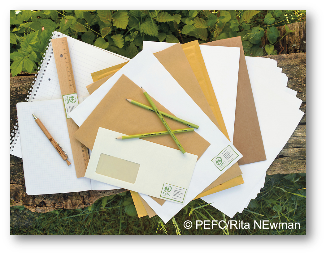 Papier und Schreibwaren aus Holz